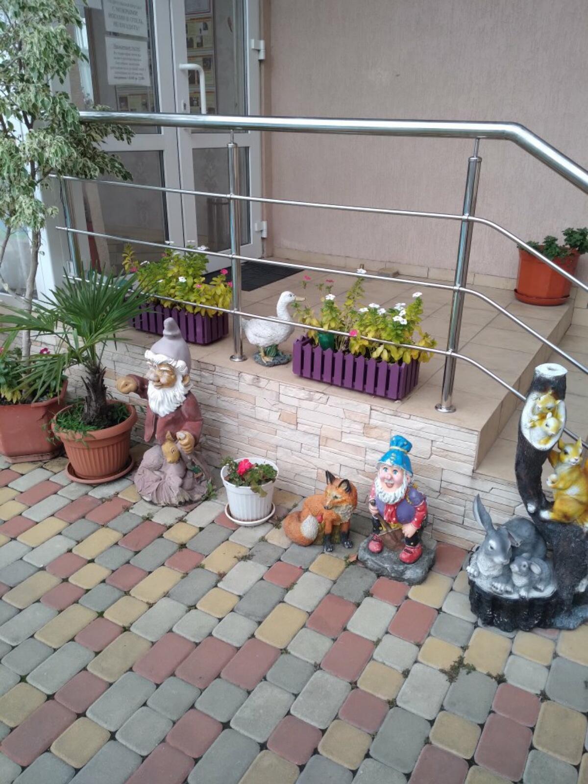 Фото Феникс