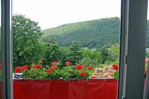 Внешний вид отеля Hotel Anna в Баденвайлере, фото 4