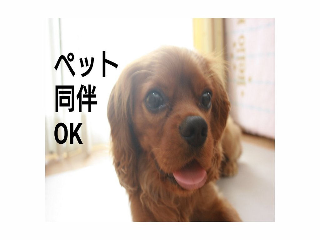 Фото Hyper Resort Villa Shionoe