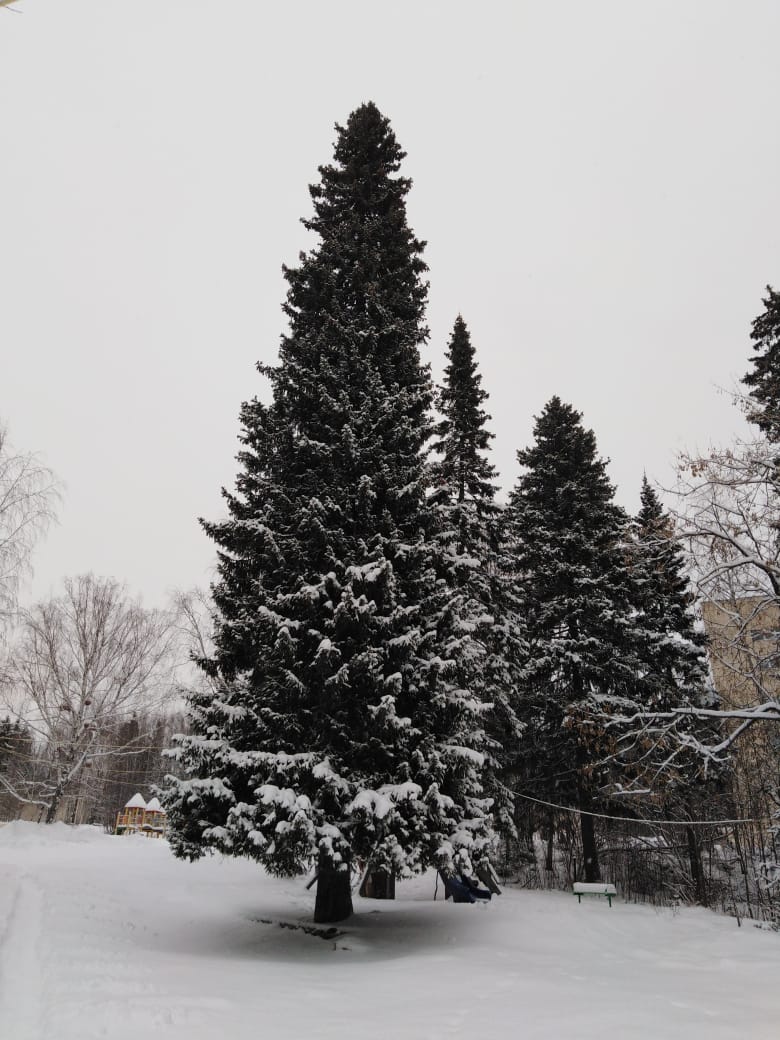 Фото Санаторий Нижние Серги