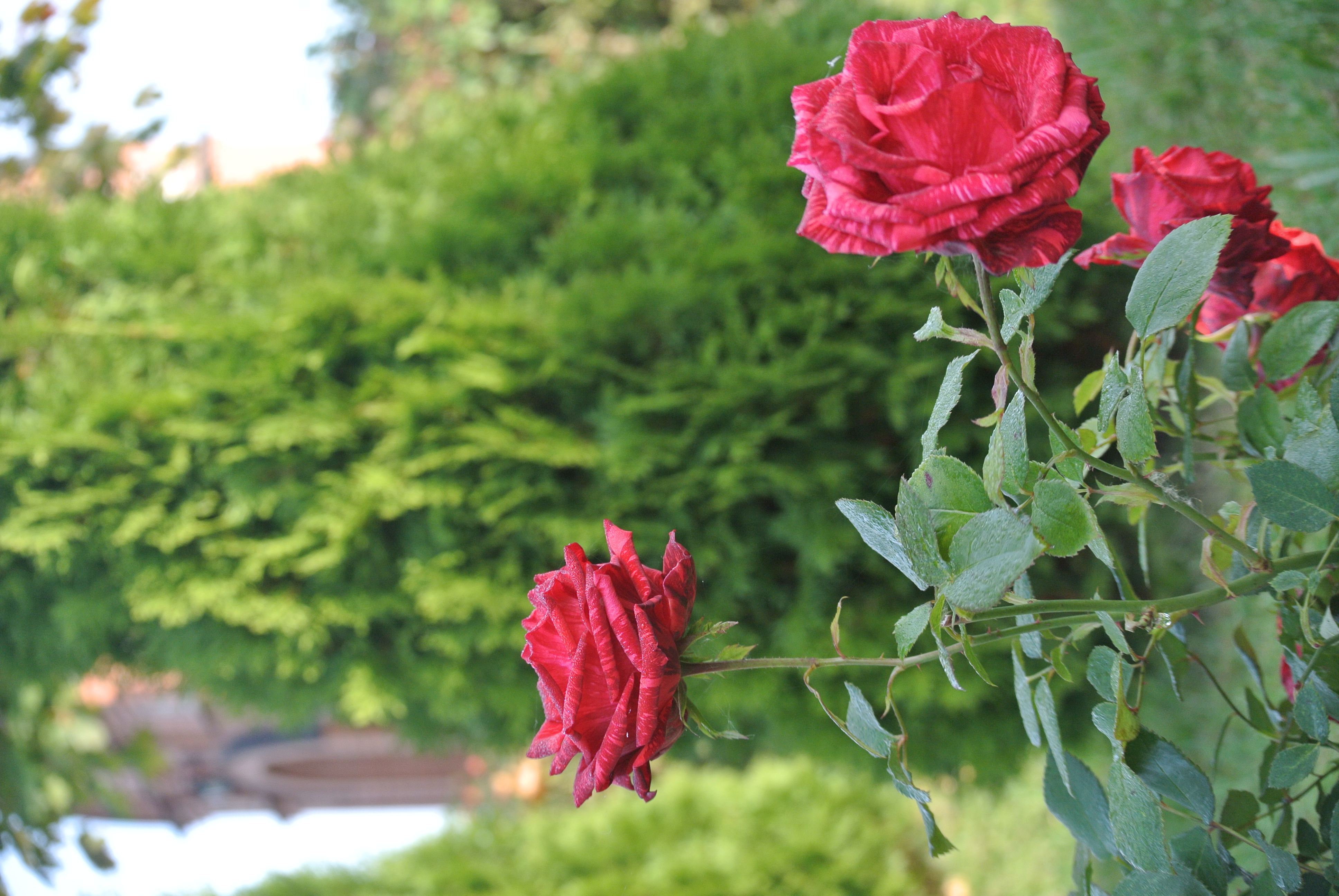 Фото Ярославское подворье