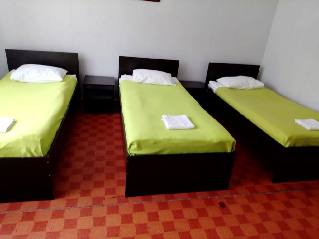 Фото Базилик