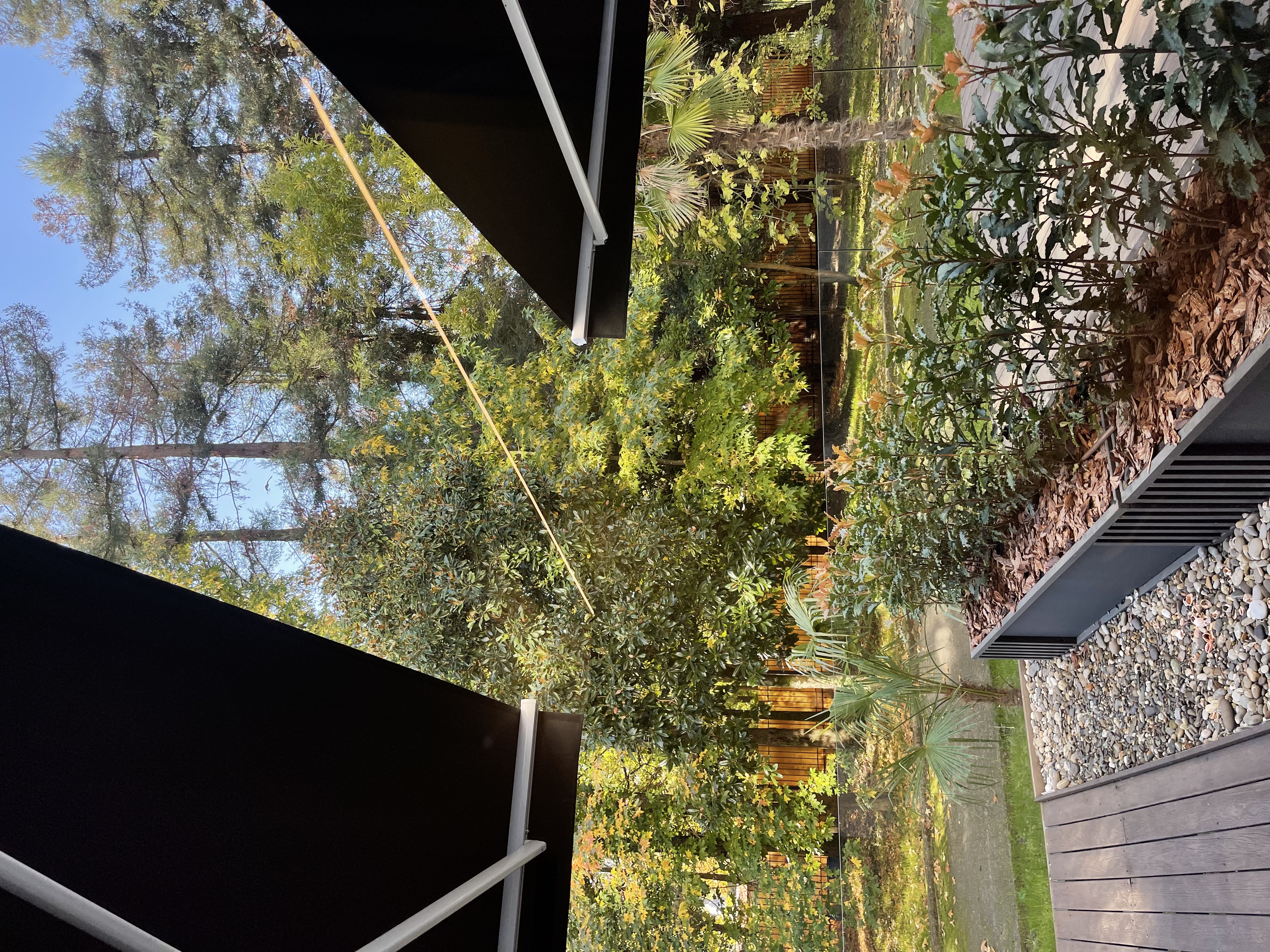 Фото Портобелло