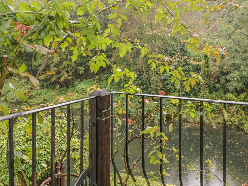 Фото 13 Bowbridge Lock