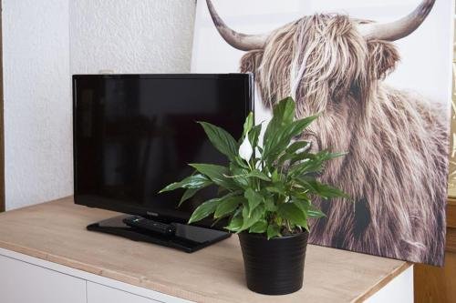 Фото Hotel Schoofstall