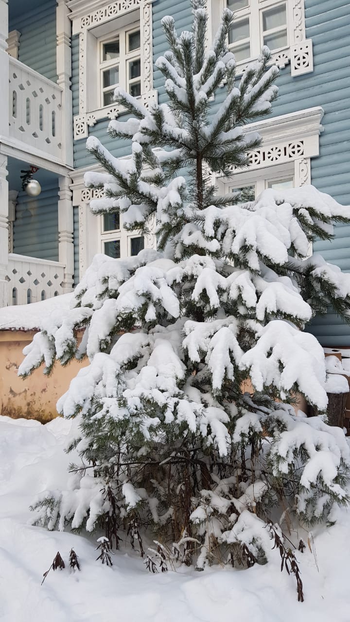 Фото На Вотчине