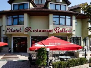 Гостиница Hotel Gallant