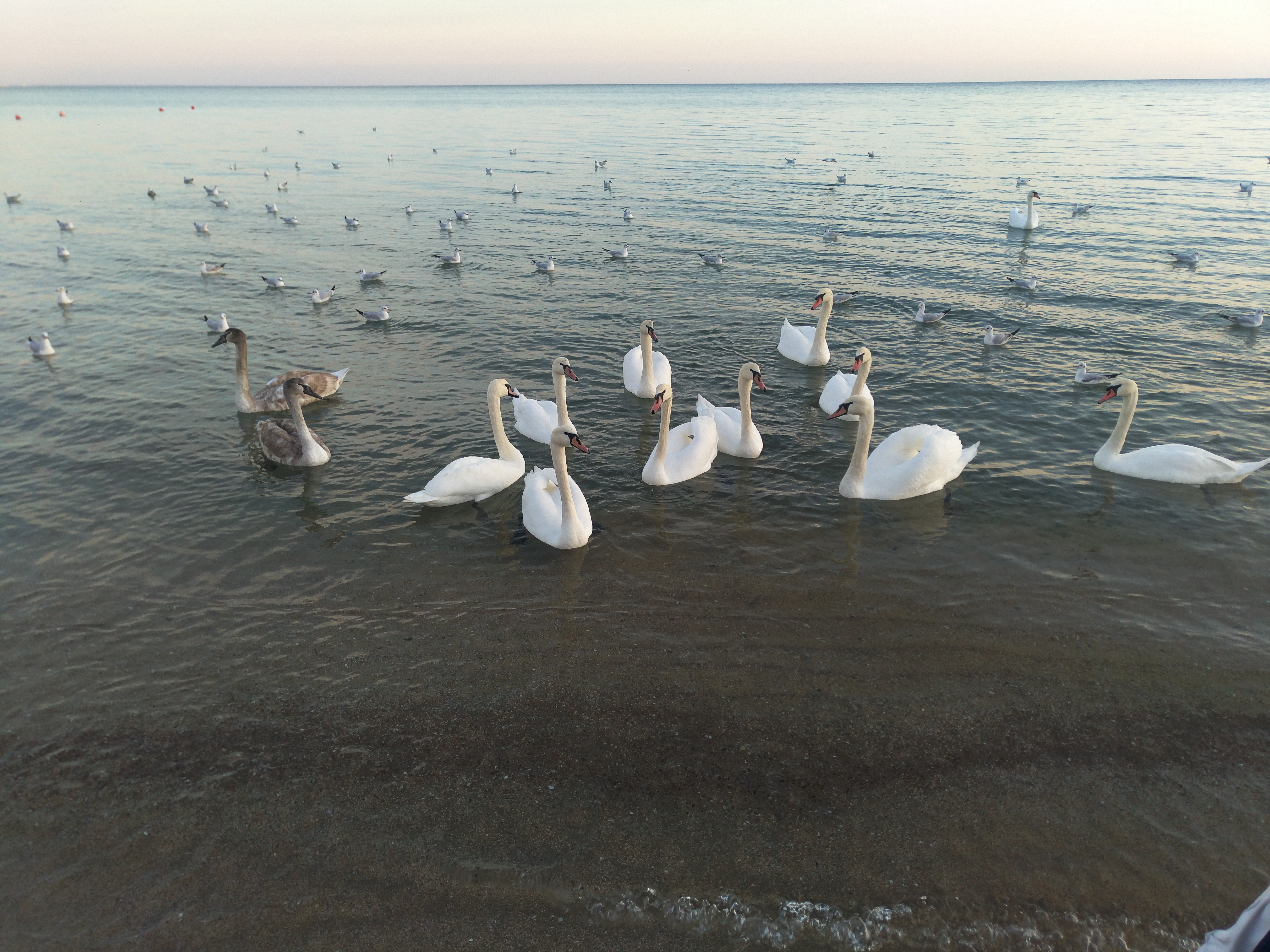 Фото Дружба