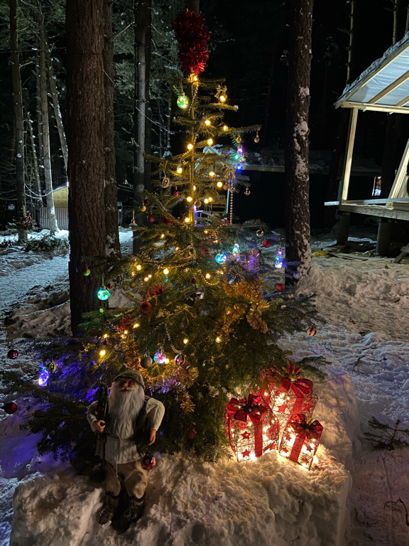 Фото Алибаба