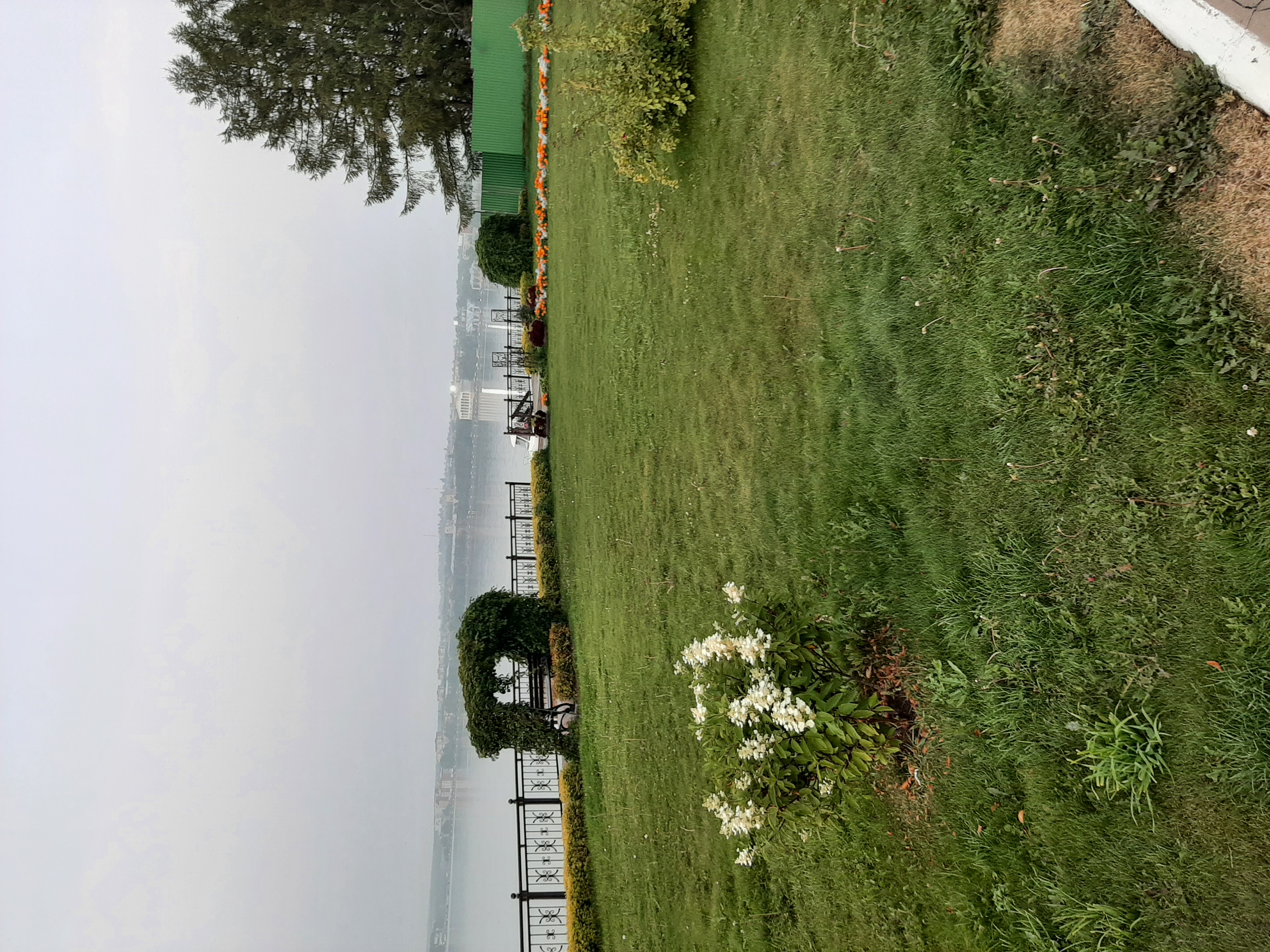 Фото Жемчужина