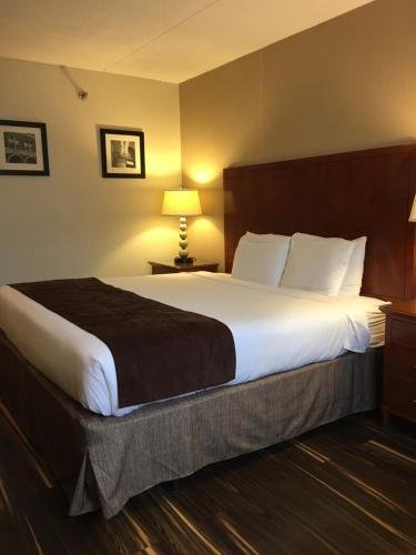 Фото The Floral Park Motor Lodge