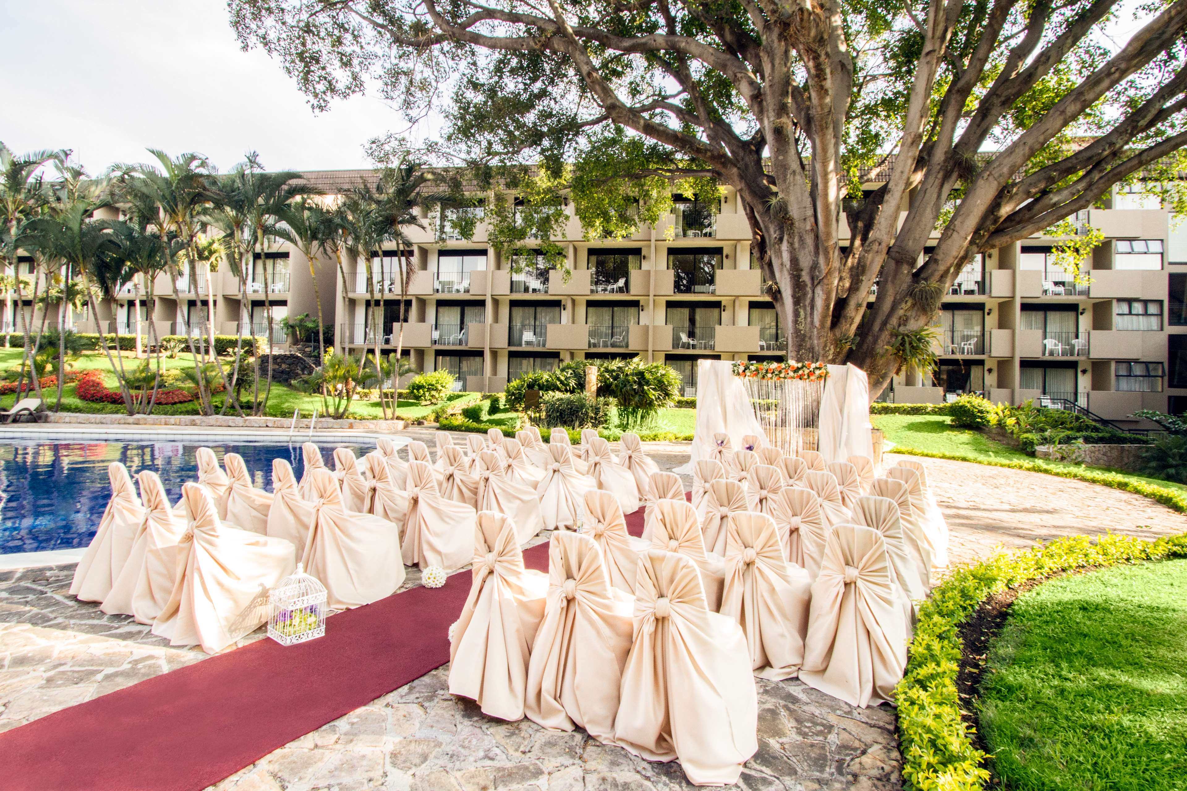 Фото Irazu Hotel & Studios