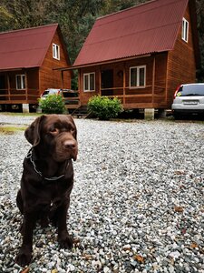 База отдыха Жоэквара