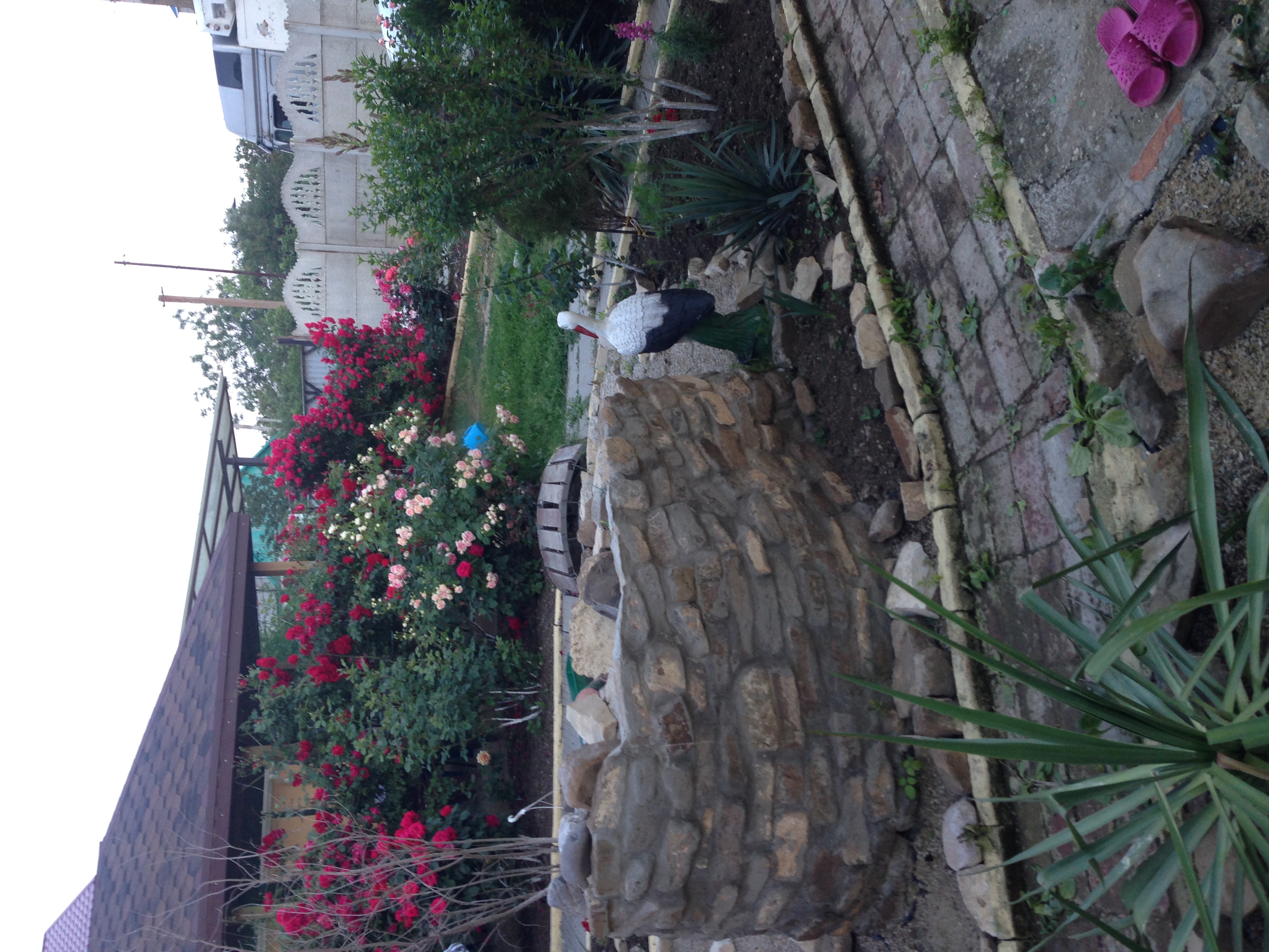 Фото Райский уголок