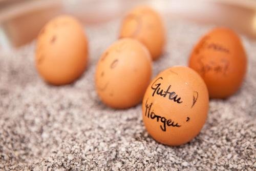 Фото Green Spirit Hotel