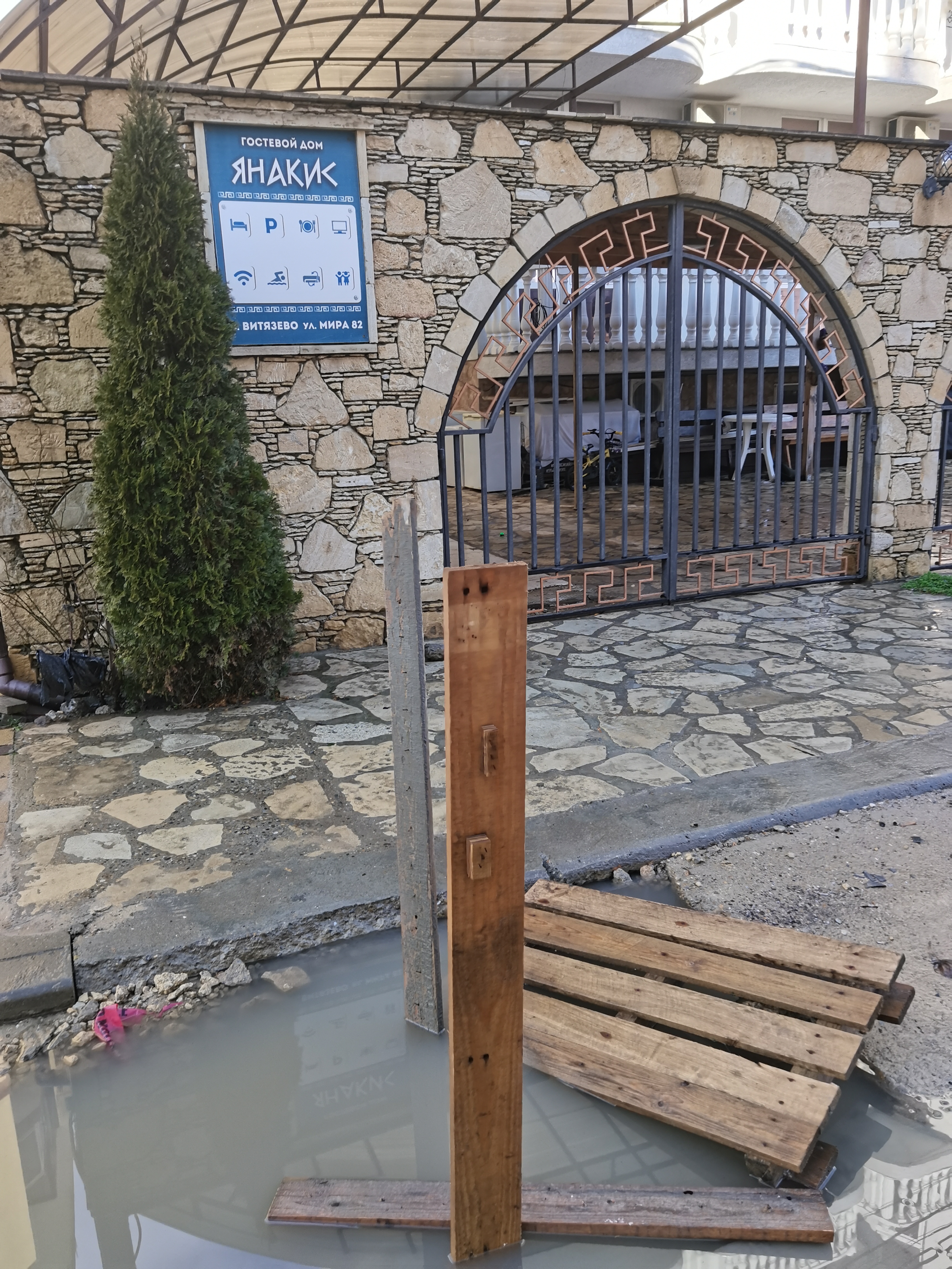 Фото Янакис