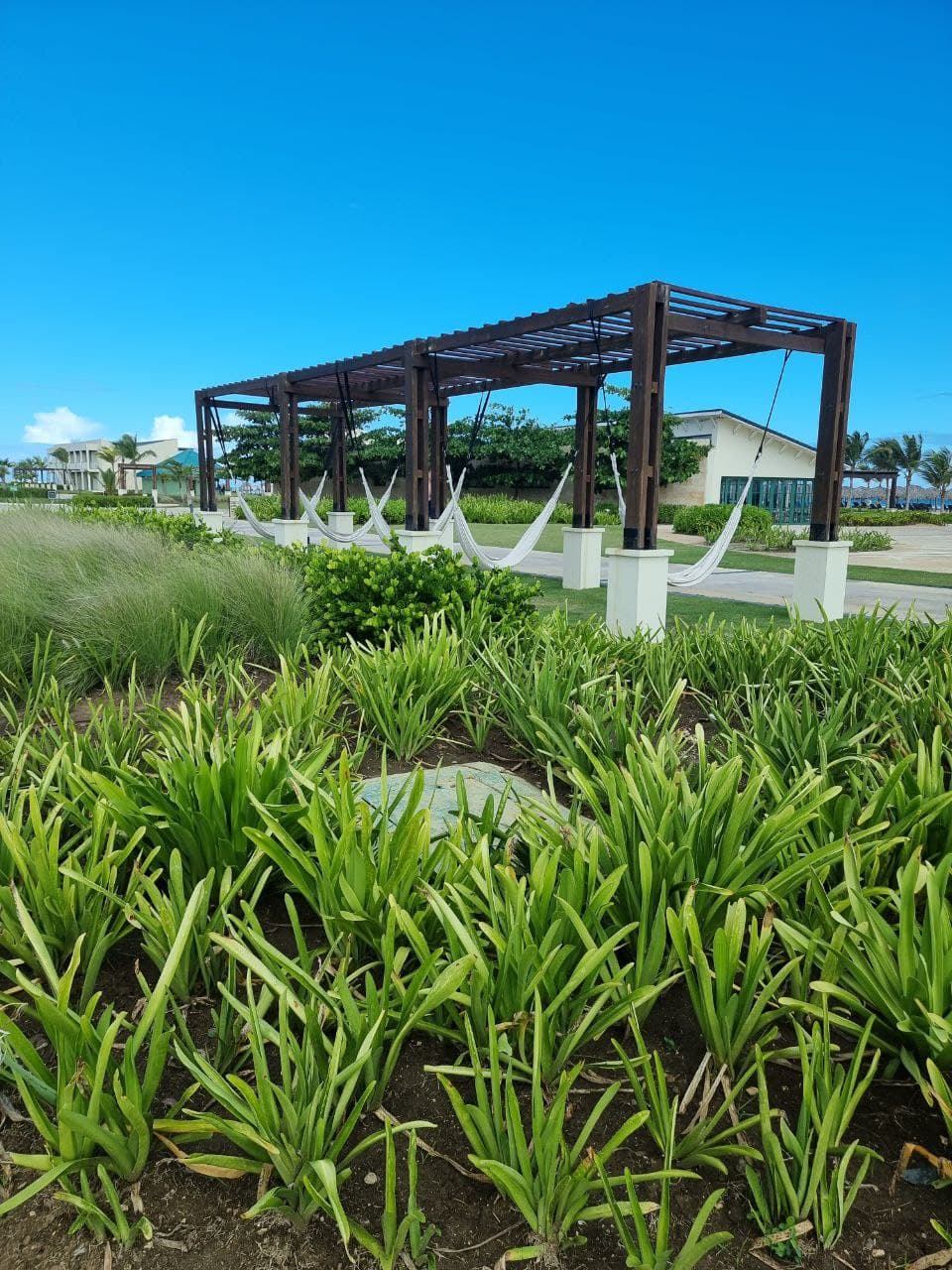 Фото Ocean El Faro