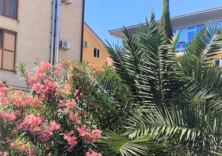 Фото Джульетта Аллама групп