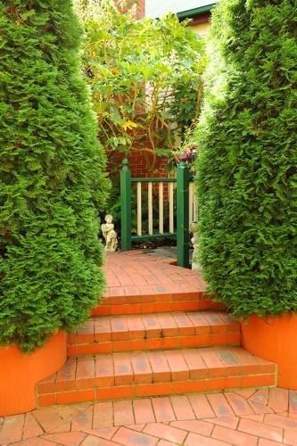 Фото Mary Card's Coach House