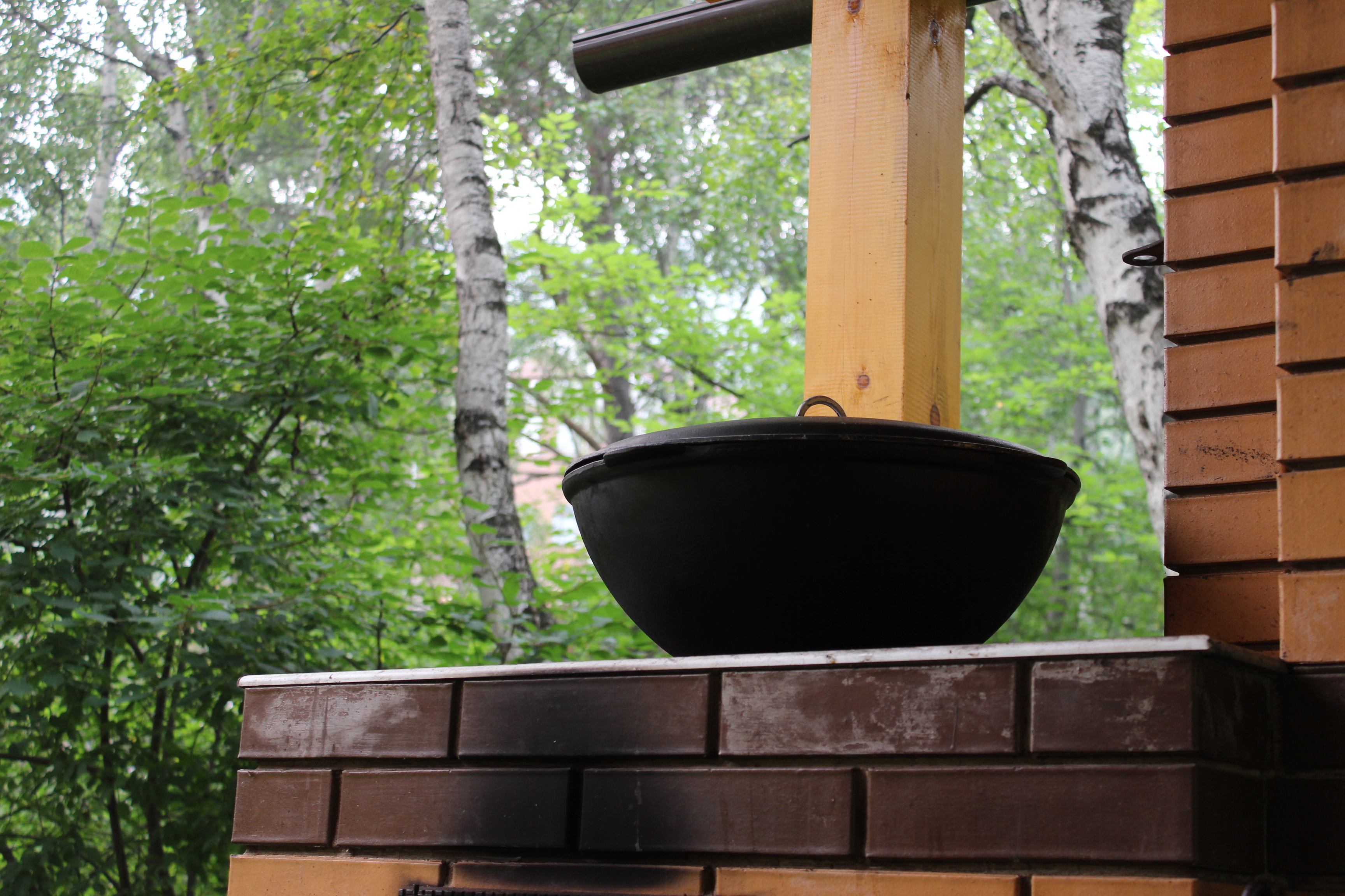 Фото Forest trail