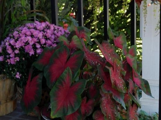 Фото Cedar Crest Inn