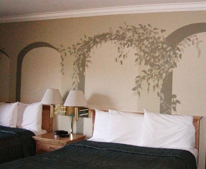 Фото Cedars Resort