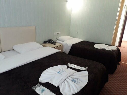 Гостиница Bildik Hotel в Сарыкамыше