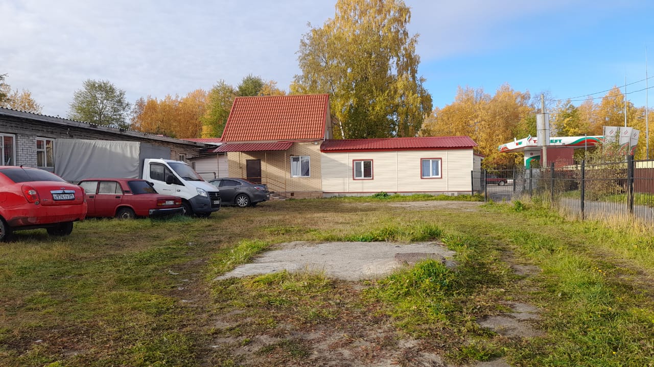 Фото Брусника