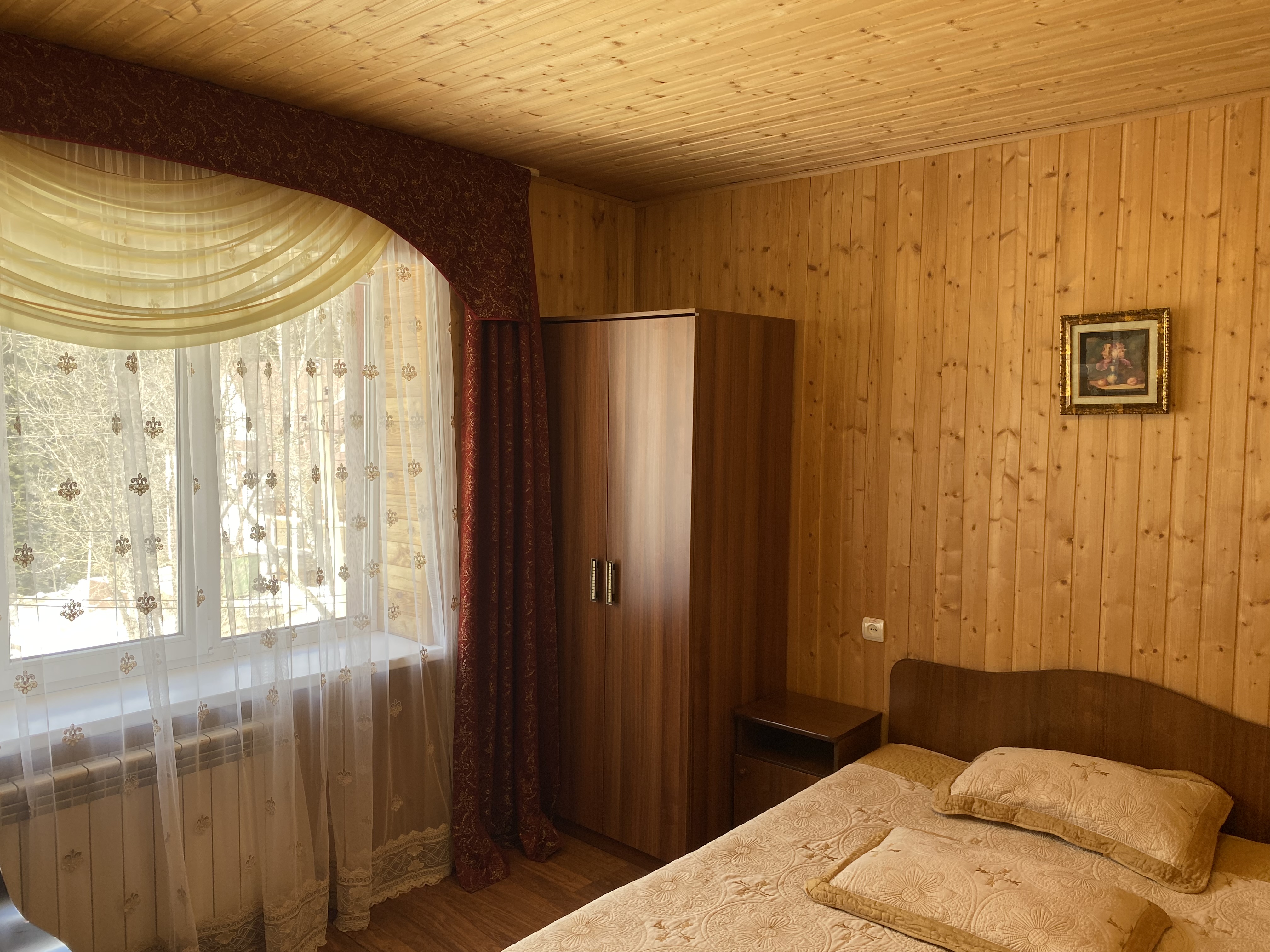 Фото Старый Клён