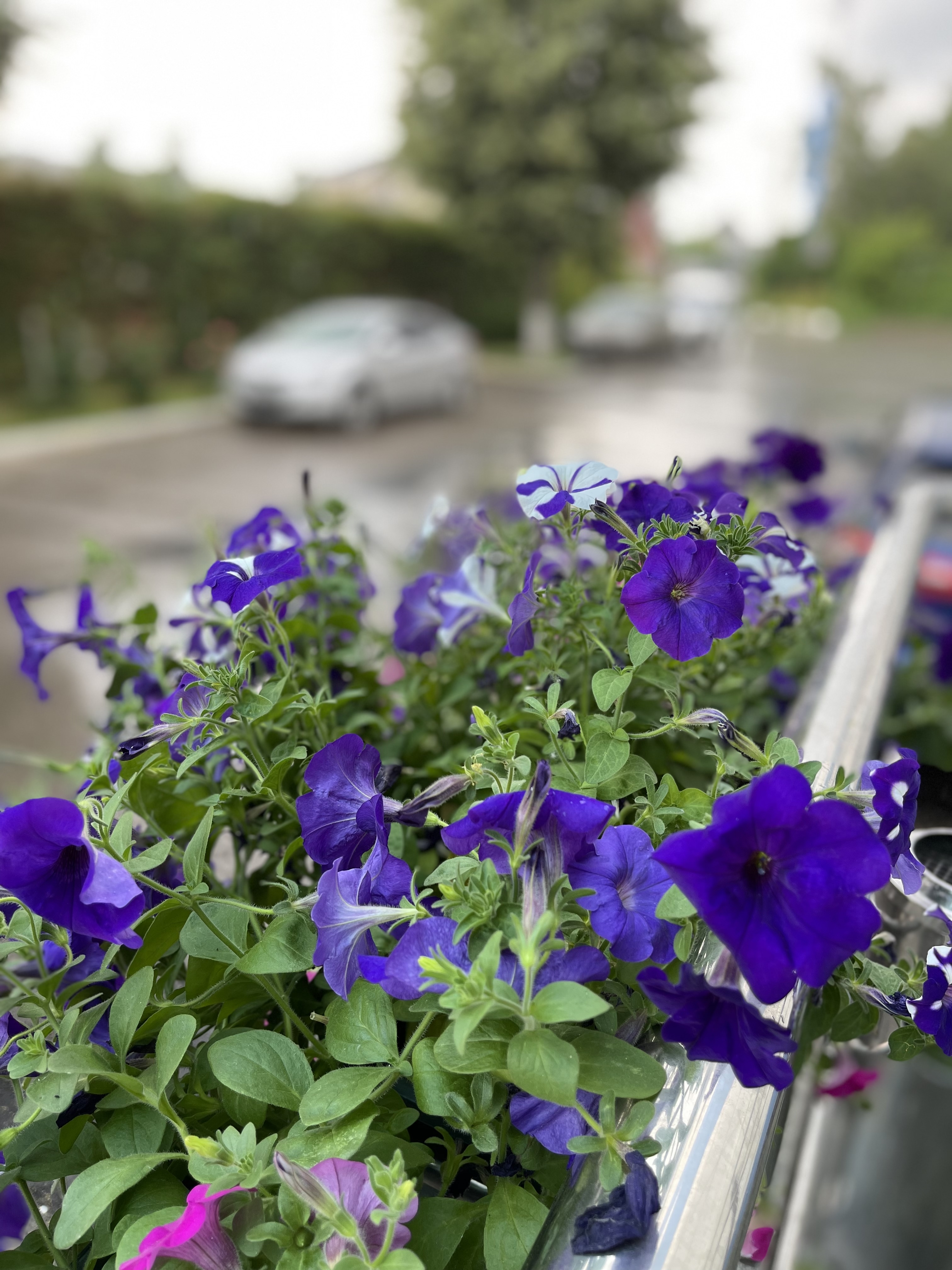 Фото Велнесс