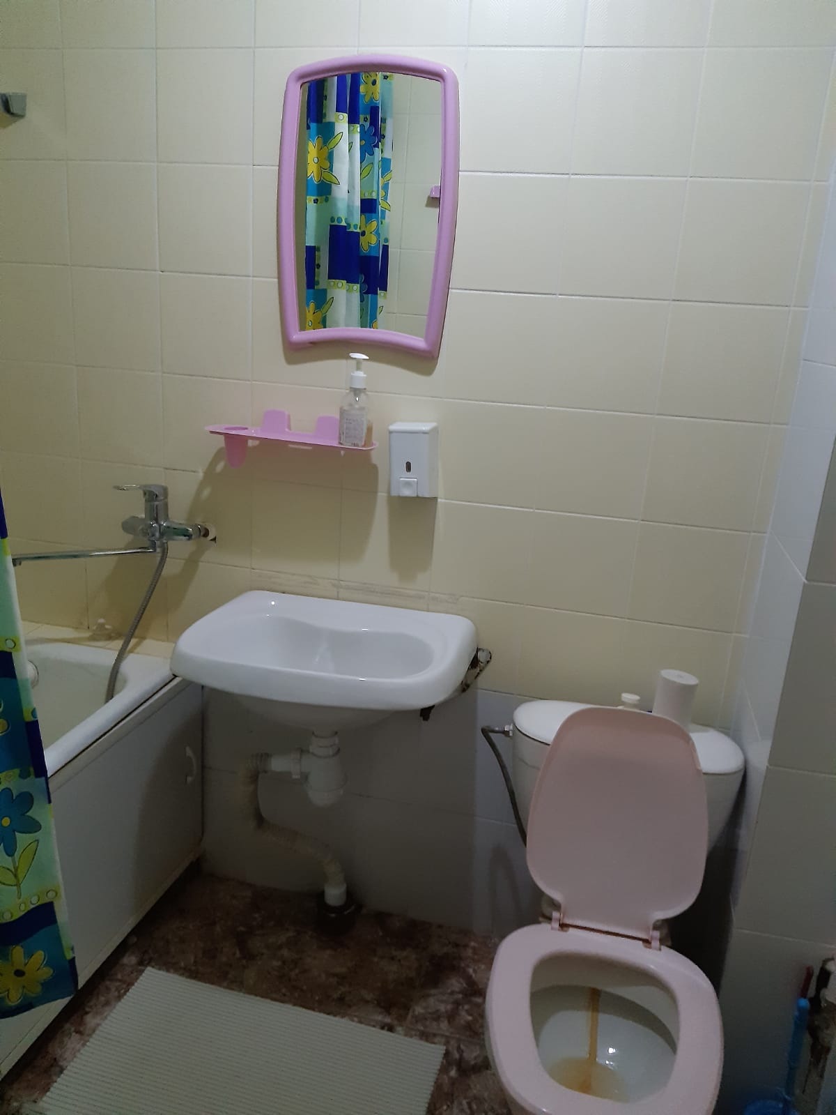 Фото Гостиница Аша