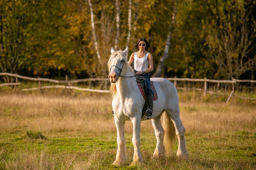Дом отдыха Эко клуб Голицыно в Калужской области