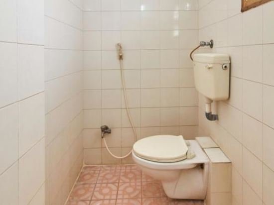 Фото Hotel Annapurna