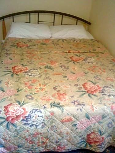 Фото Hotel Sophia