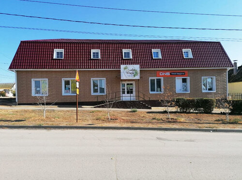 Point of delivery DNS Технопоинт, Dubovka, photo