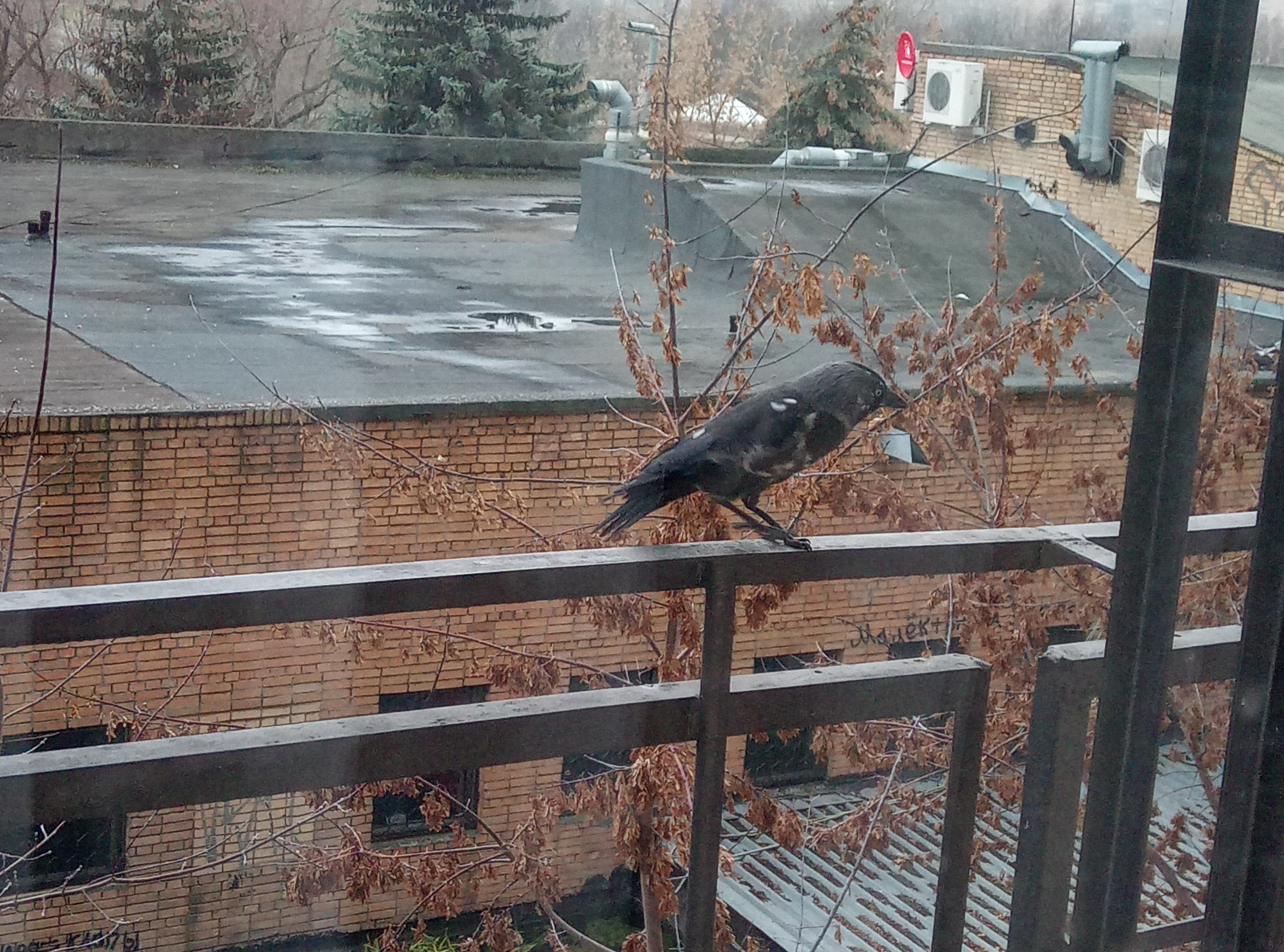 Фото Гостиница Воскресенск