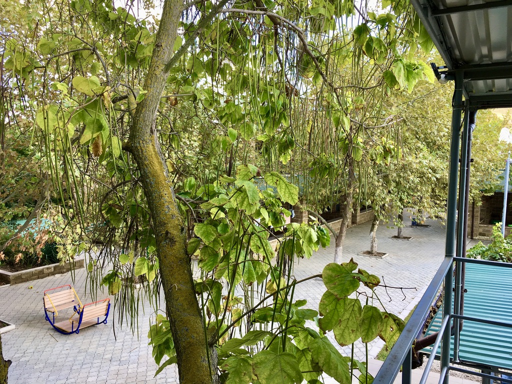 Фото Family House Midas