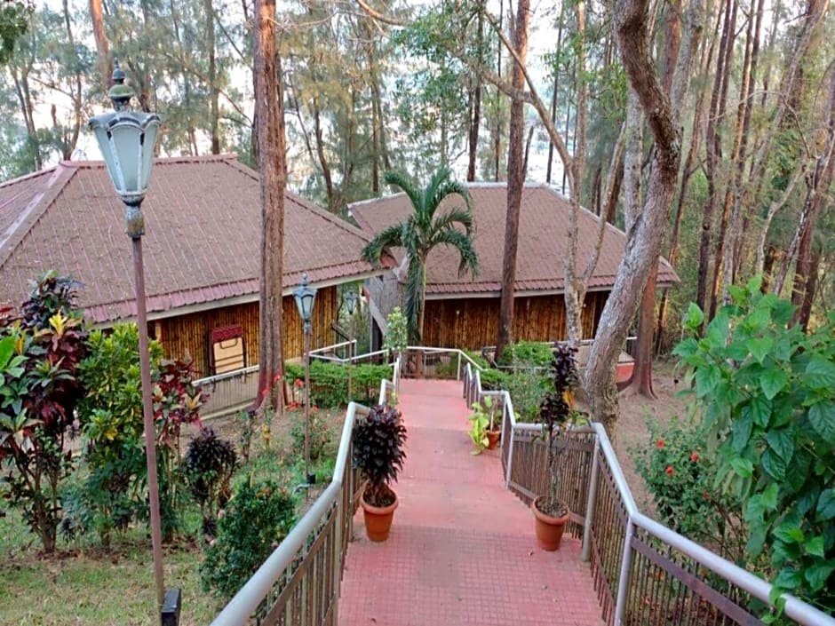 Фото Megapode Nest