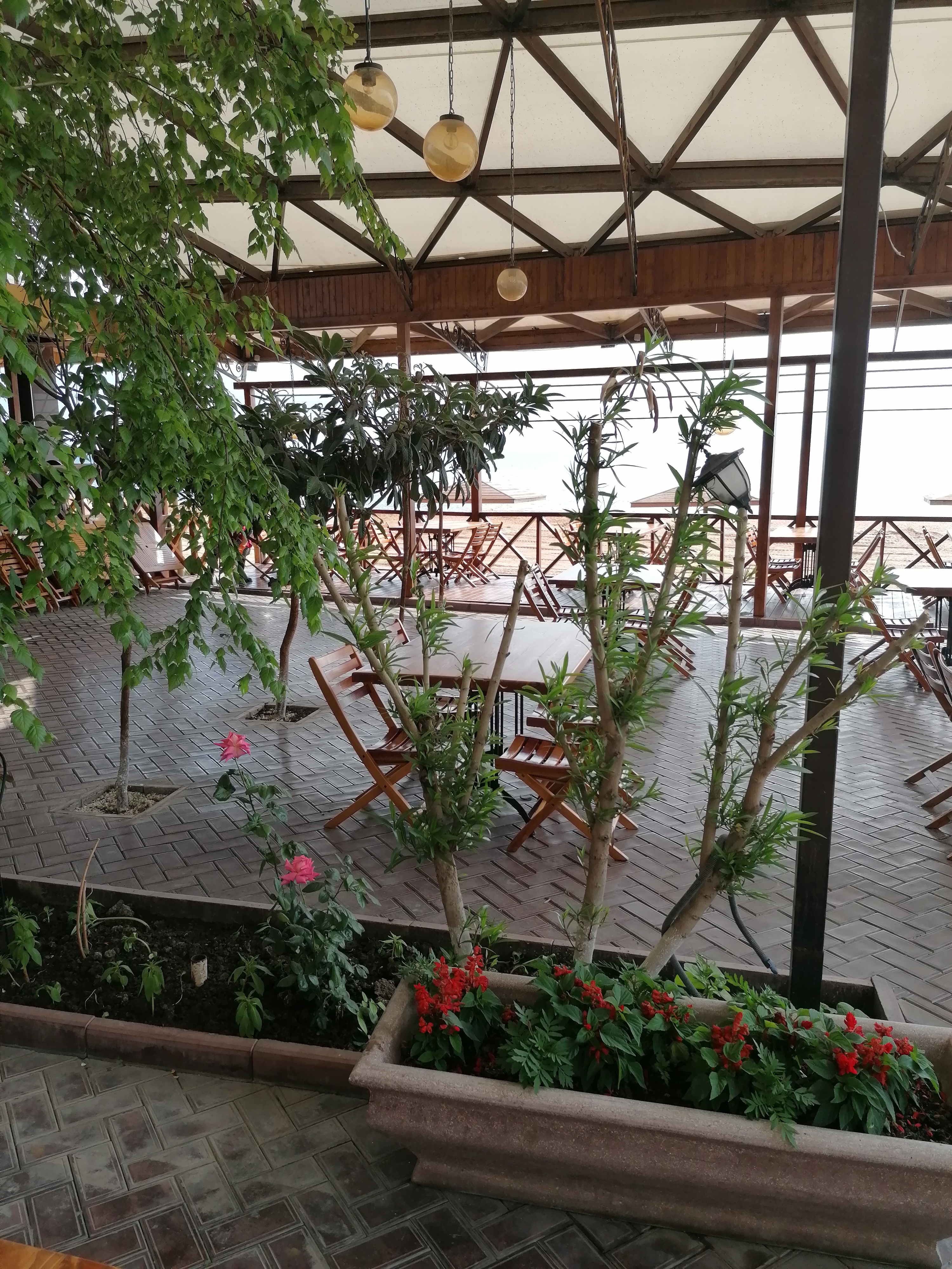 Фото Алые Паруса