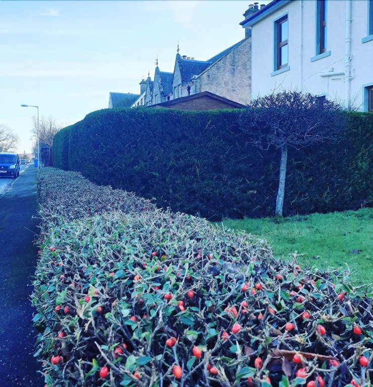 Фото West End Hotel