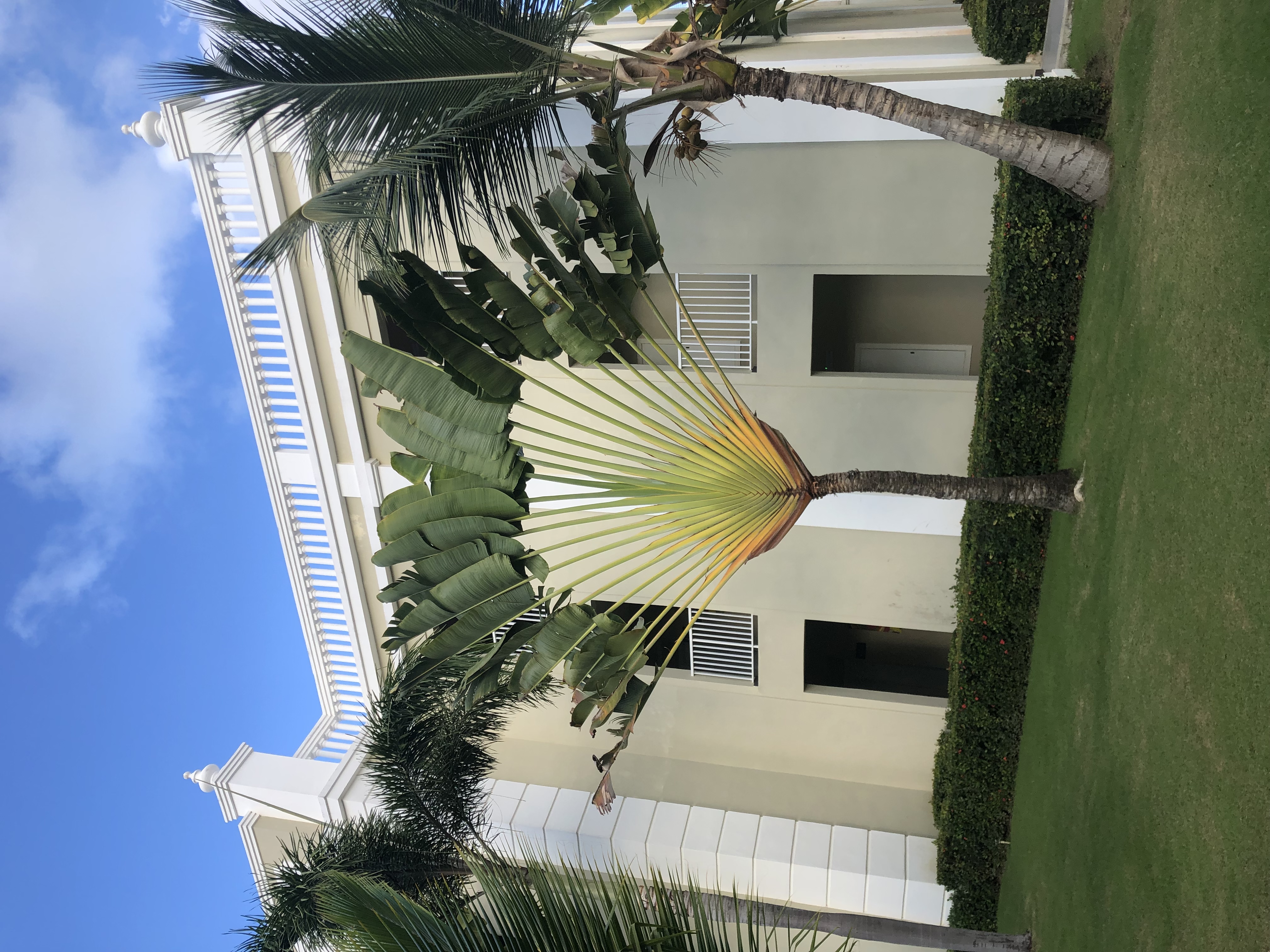 Фото Hotel Riu Palace Bavaro