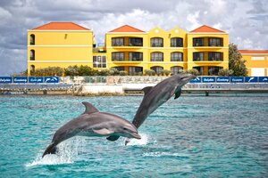 Гостиница The Royal Sea Aquarium Resort