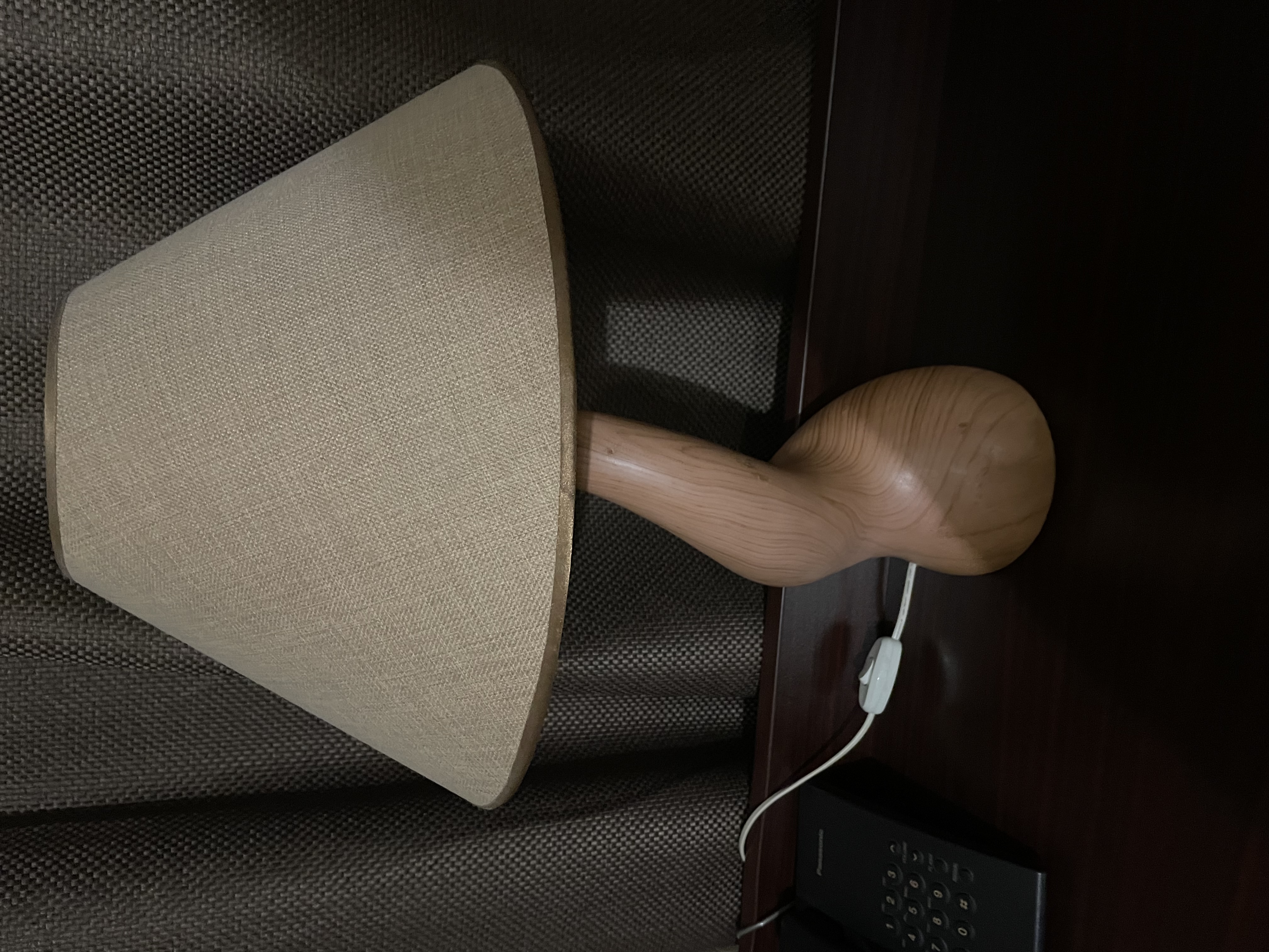 Фото Наутилус