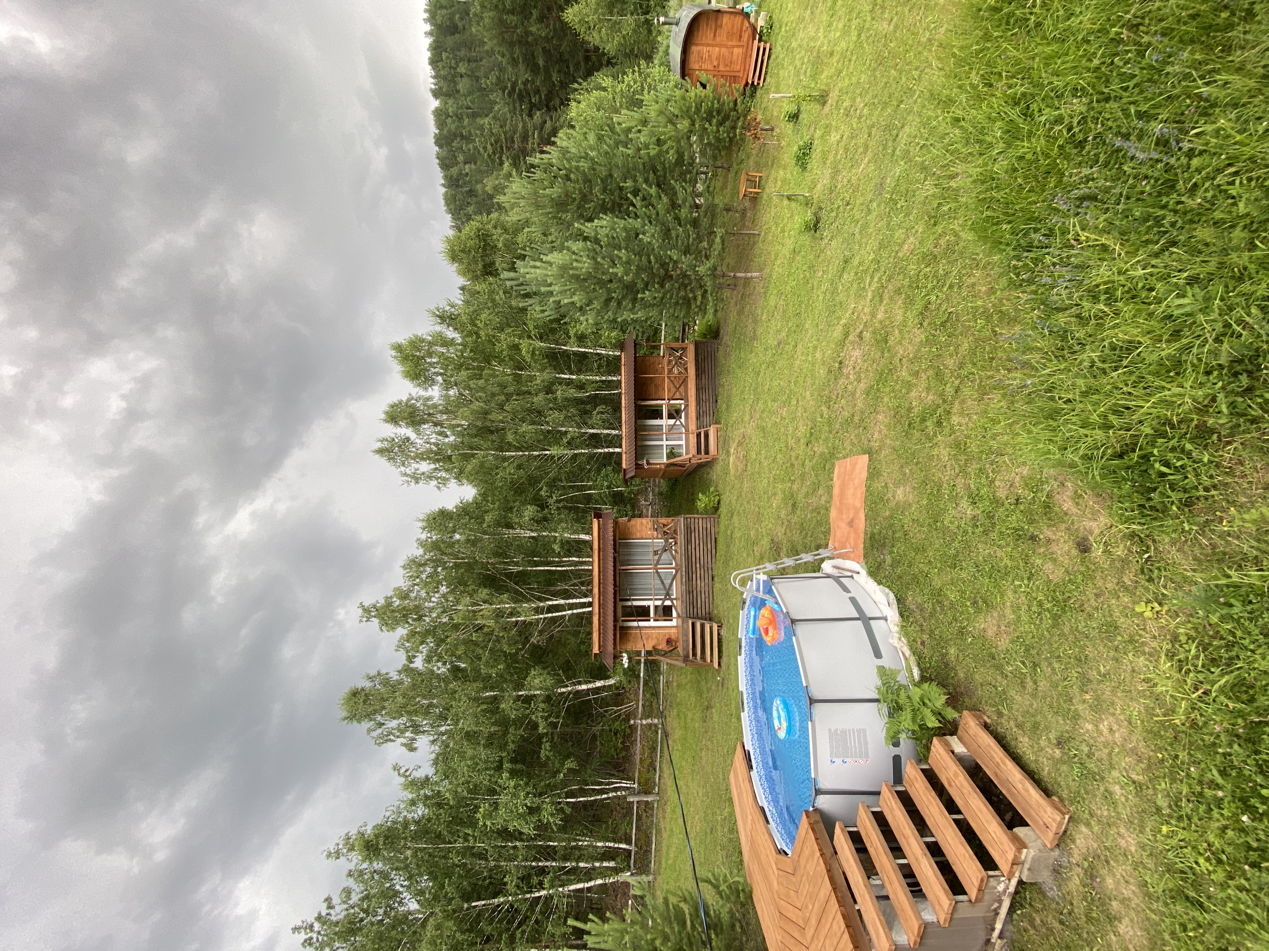 Фото Шишкин лес