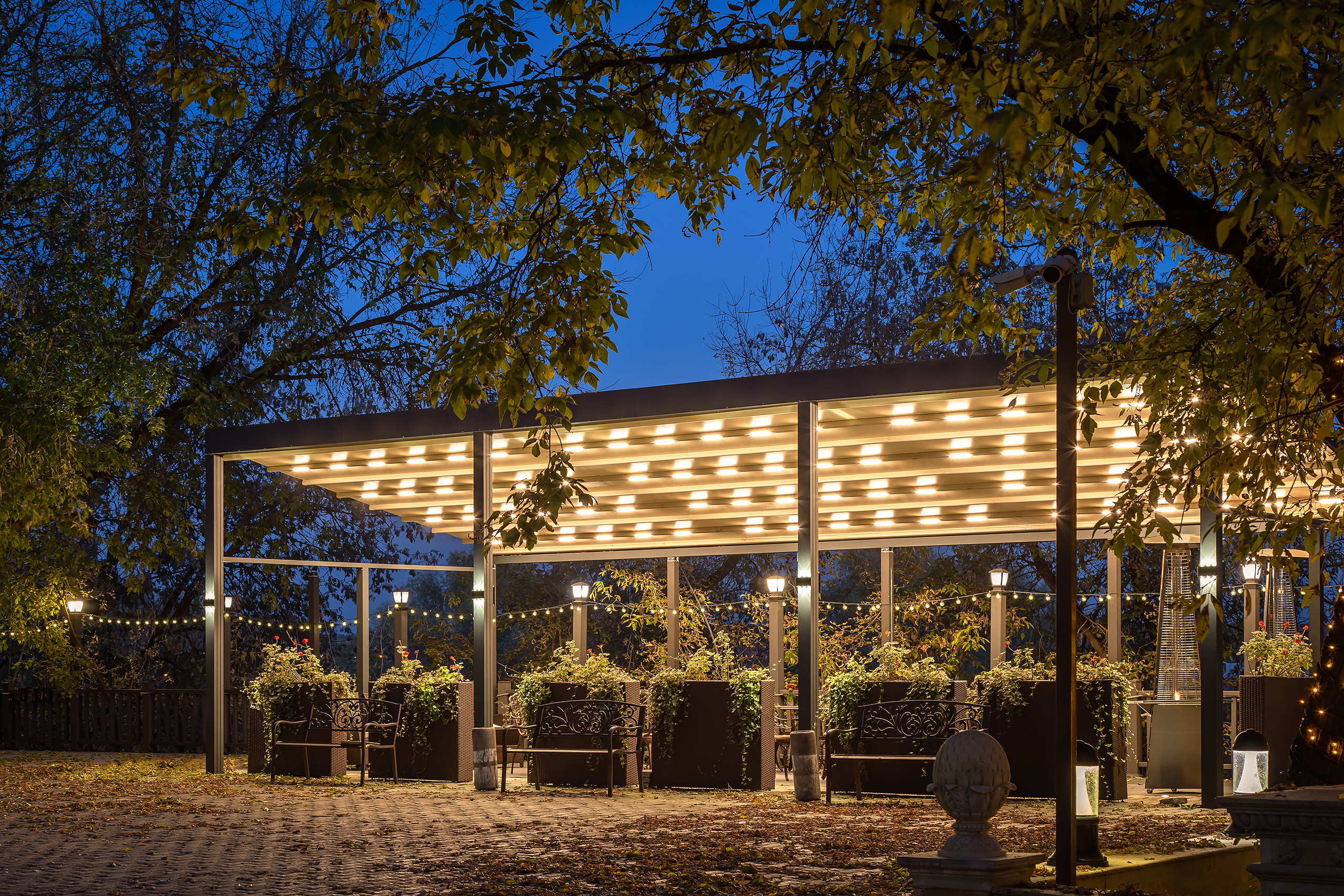 Фото Клевер