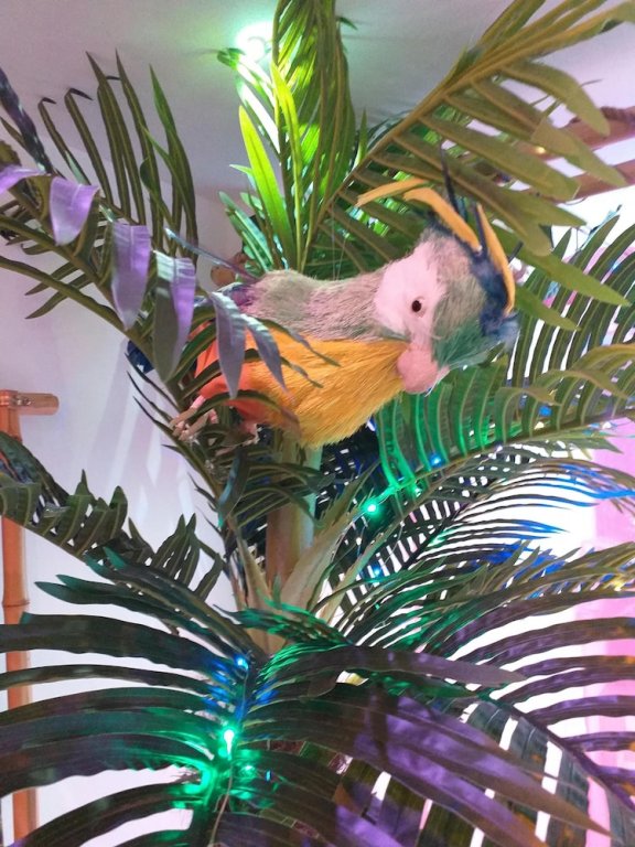 Фото Wonder Rooms Nerja Guest House