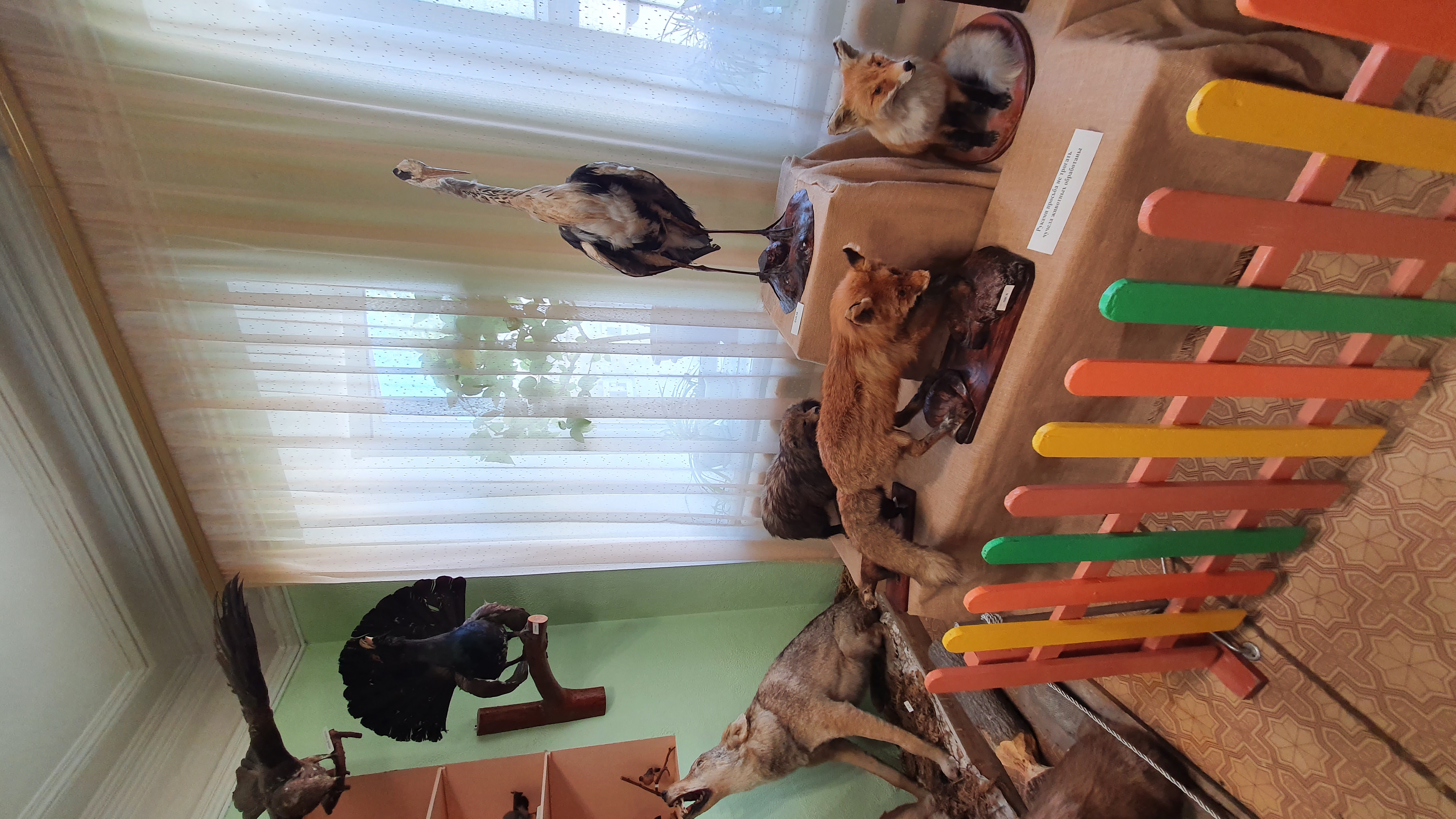 Фото Старый Городец