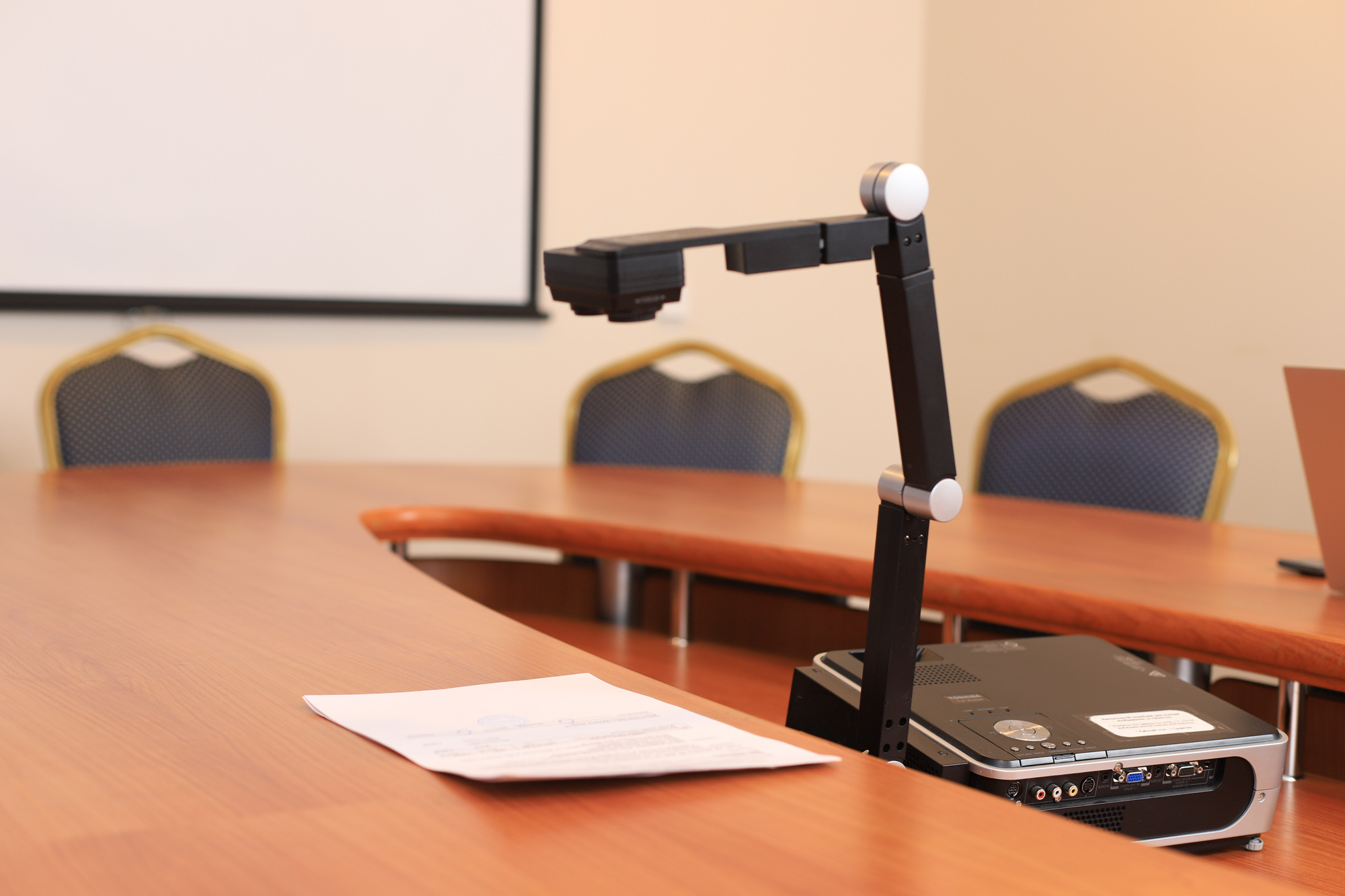 Фото Ампаро