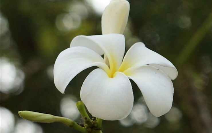 Фото Market Motel