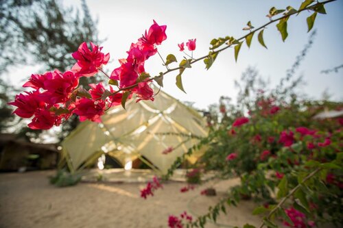 Гостиница Bougainvileapatnem в Канаконе